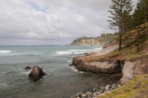Landscape Of The Rocky Coastline Norfolk Island 